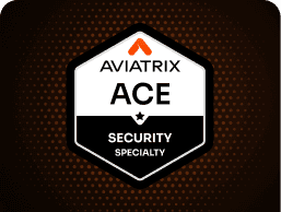 ace security